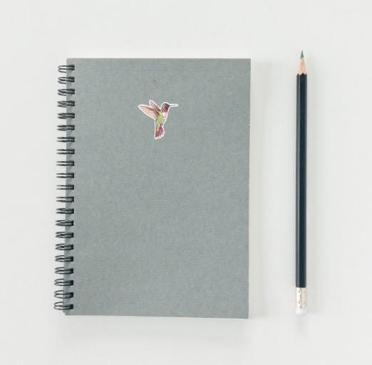 Hummingbird Sticker | Vibrant Nature Decal | Colorful Bird Art | Garden Lover Gift | Flying Wildlife Vinyl | Ruby-Throated Hummingbird