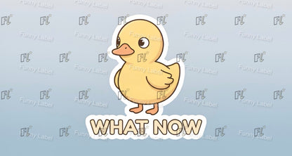 Cartoon duck with 'WHAT NOW' text on a light blue background