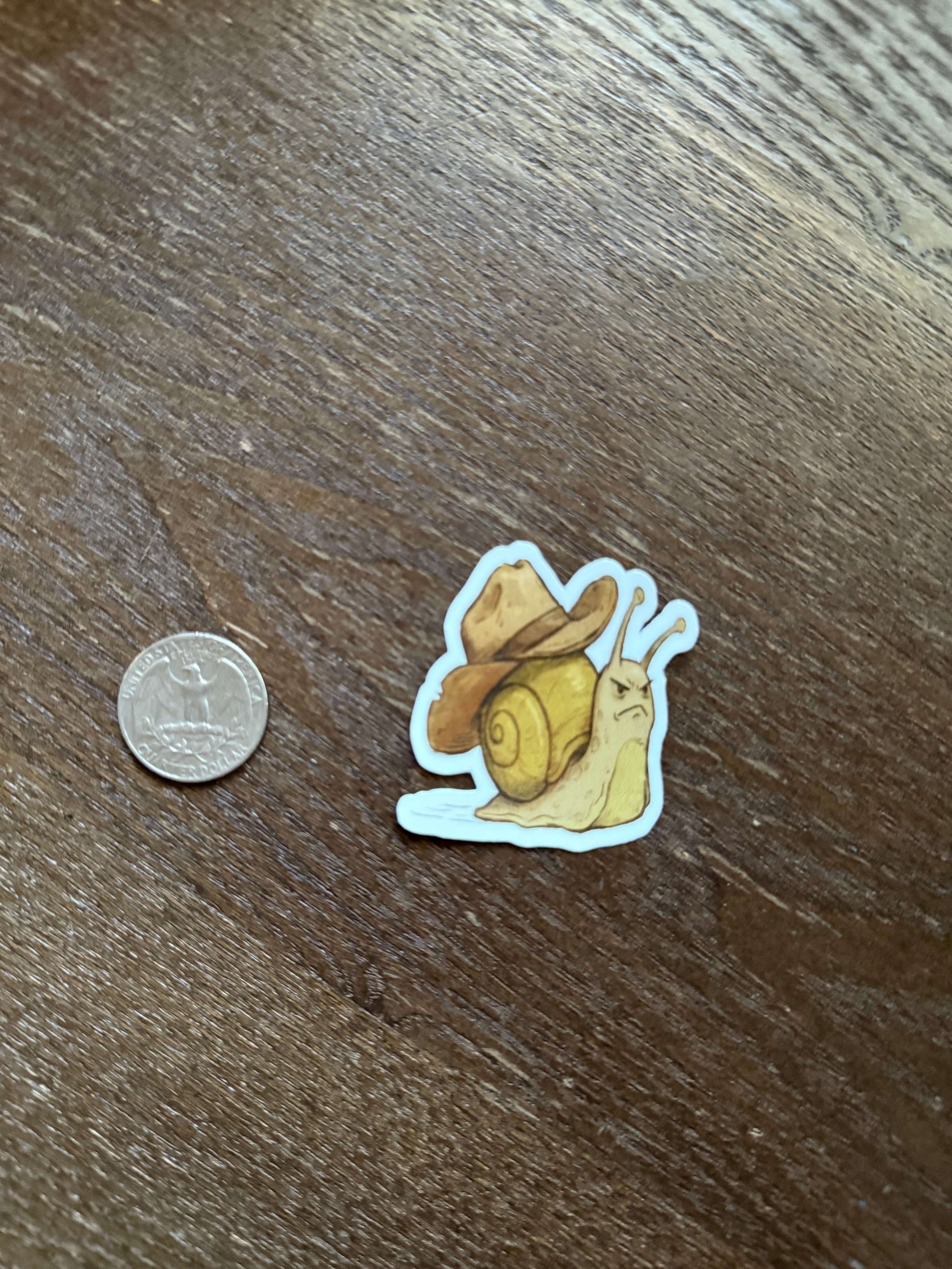 Snail-shaped sticker on a wooden surface with a coin for scale