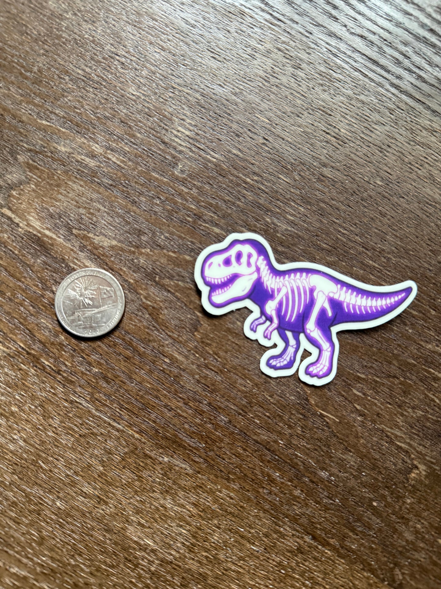 Rad Rex Glow-in-the-Dark Skeleton Dinosaur Sticker