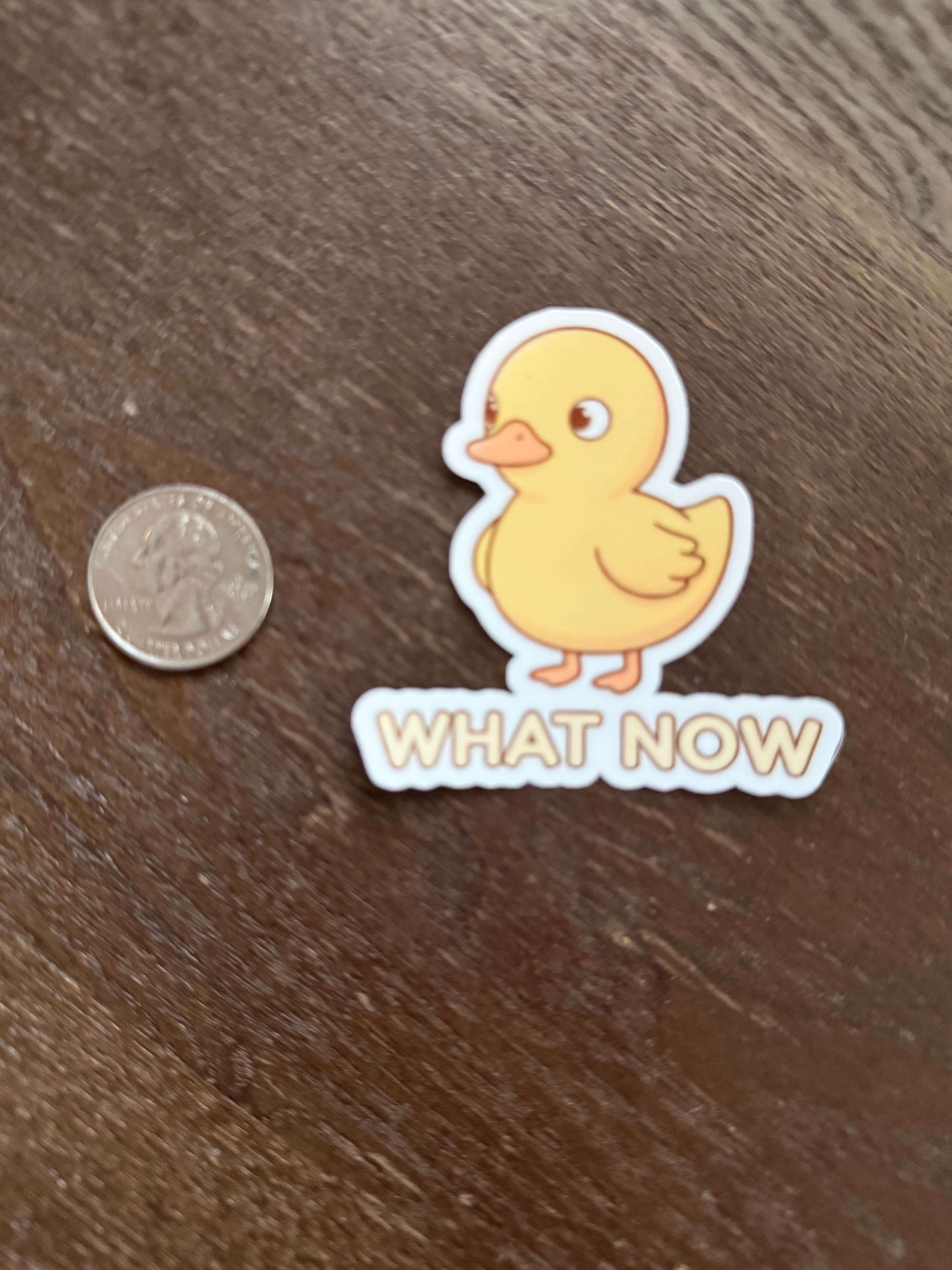 Sticker of a yellow duck with 'WHAT NOW' text on a wooden surface with a coin for scale.