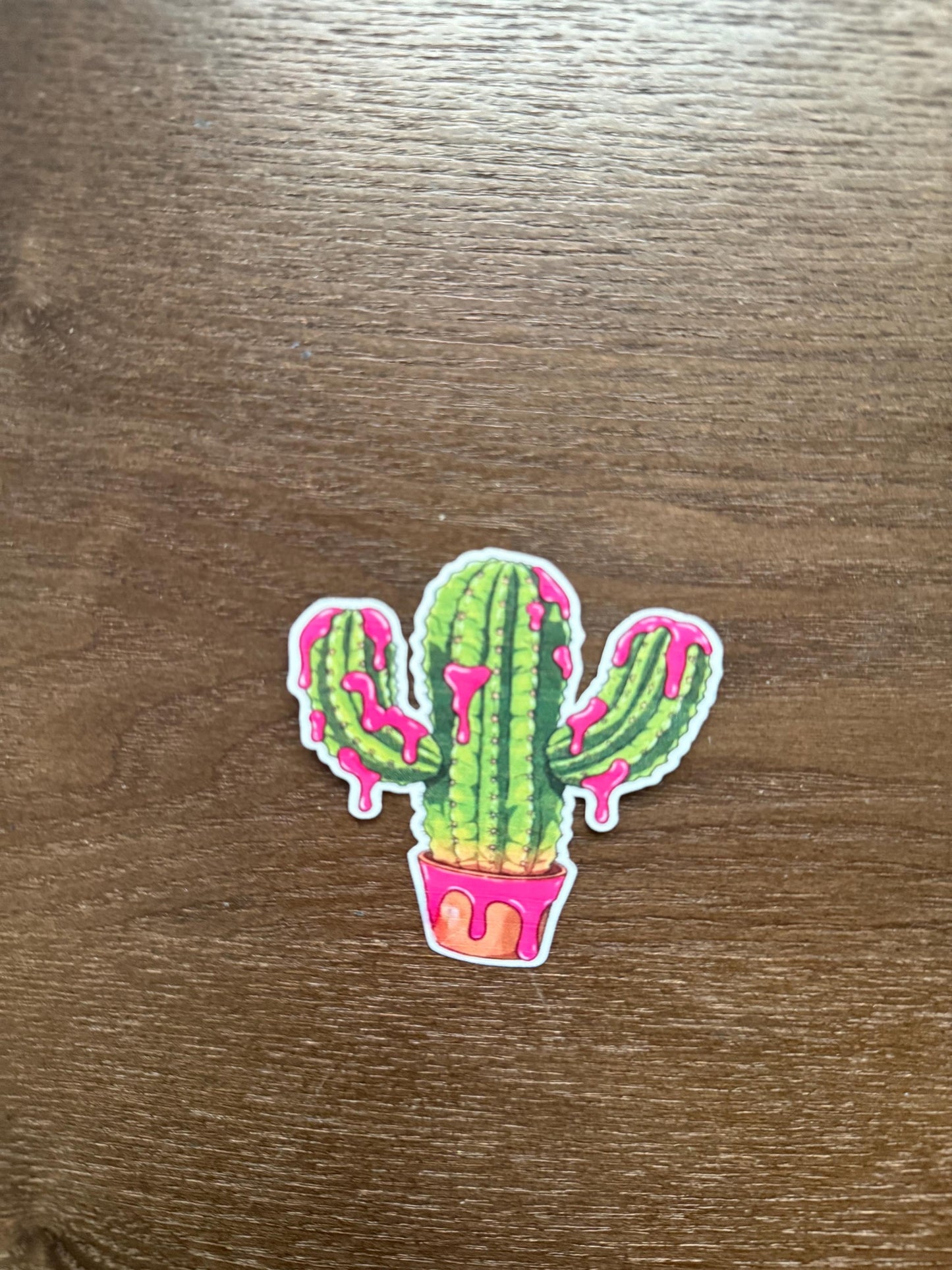 Dripping Pink Cactus Sticker | Potted Plant Decal | Quirky Succulent Art | Desert Plant Vinyl | Pink Aesthetic Gift | Cute Cactus Lover