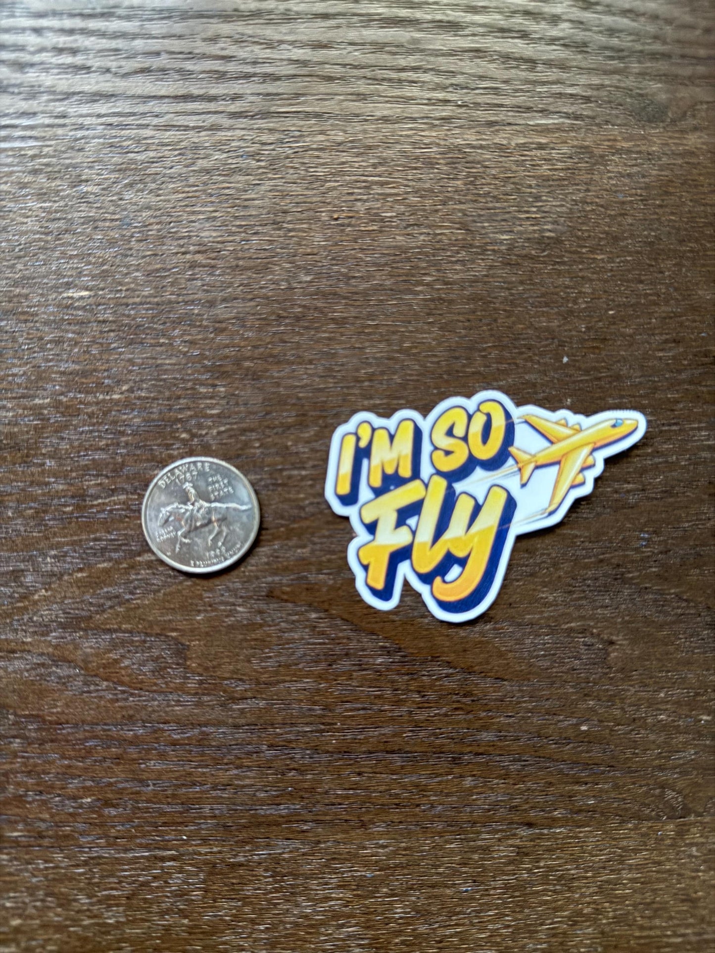 I'm So Fly Airplane Sticker | Travel Decal | Aviation Lover Gift | Positive Quote Vinyl | Jet Setter Laptop Sticker | Funny Pun Pilot Gift