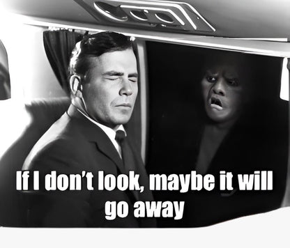 If I don't look Twilight Zone Sticker | Classic TV Meme Decal | Spooky Gremlin Vinyl | Retro Horror Fan Gift | Vintage Black and White