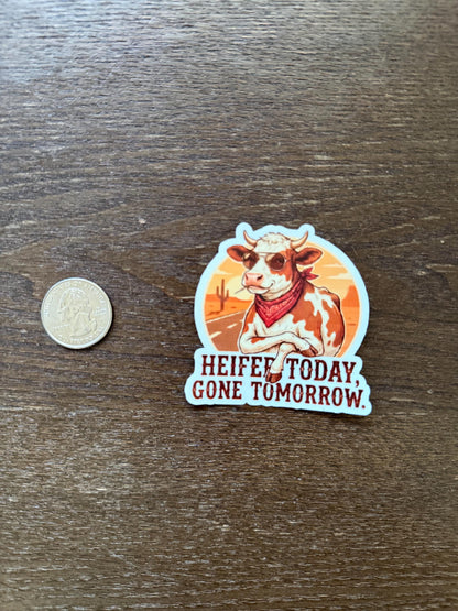Funny Cow Sticker - Heifer Today Gone Tomorrow - Western Pun Decal - Country Girl Gift - Sassy Farm Animal - Waterproof Laptop Sticker