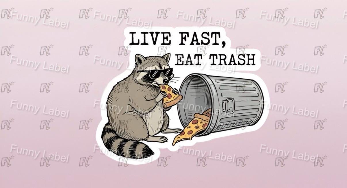 A flat, isolated vinyl sticker featuring a hilarious cartoon illustration of a cool raccoon wearing retro neon sunglasses, happily munching on a cheesy slice of pepperoni pizza under the bold text "Live Fast Eat Trash".