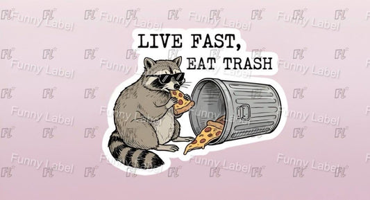A flat, isolated vinyl sticker featuring a hilarious cartoon illustration of a cool raccoon wearing retro neon sunglasses, happily munching on a cheesy slice of pepperoni pizza under the bold text "Live Fast Eat Trash".