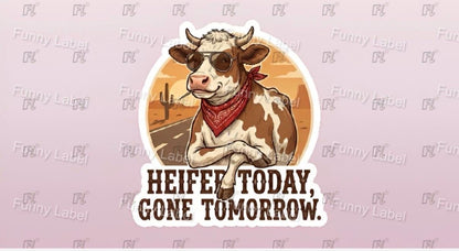 Cartoon cow with sunglasses and bandana on a road, with text 'HEIFE TODAY, GONE TOMORROW' on a light pink background.